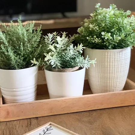 Feriehus Terra Homes *