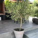 Terra Homes * 아스프로발타