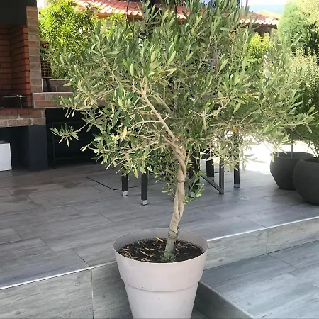 Terra Homes * Asprovalta