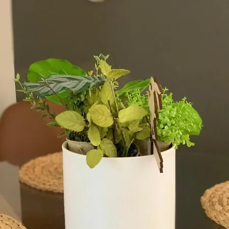 Terra Homes